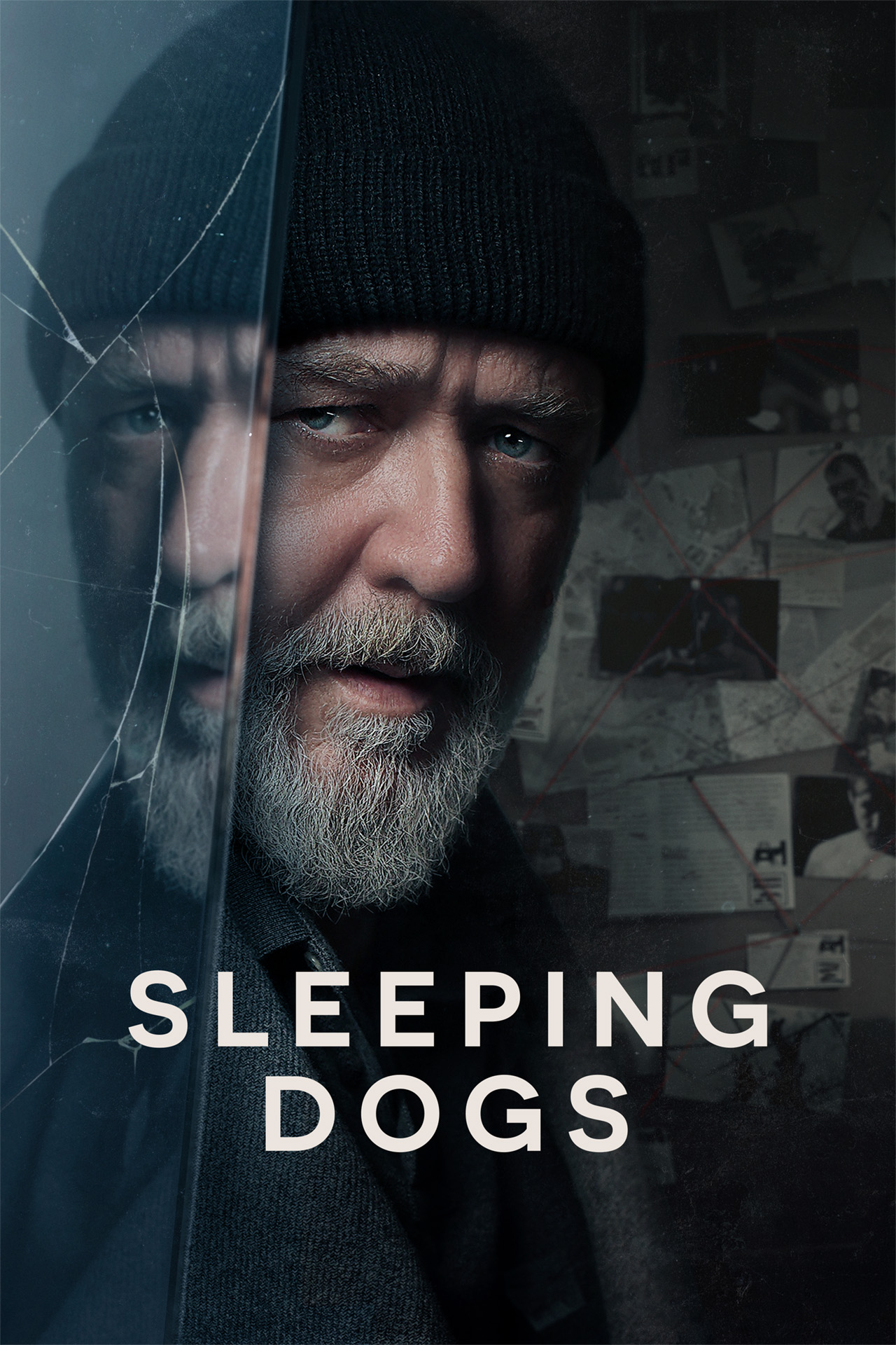 Sleeping Dogs