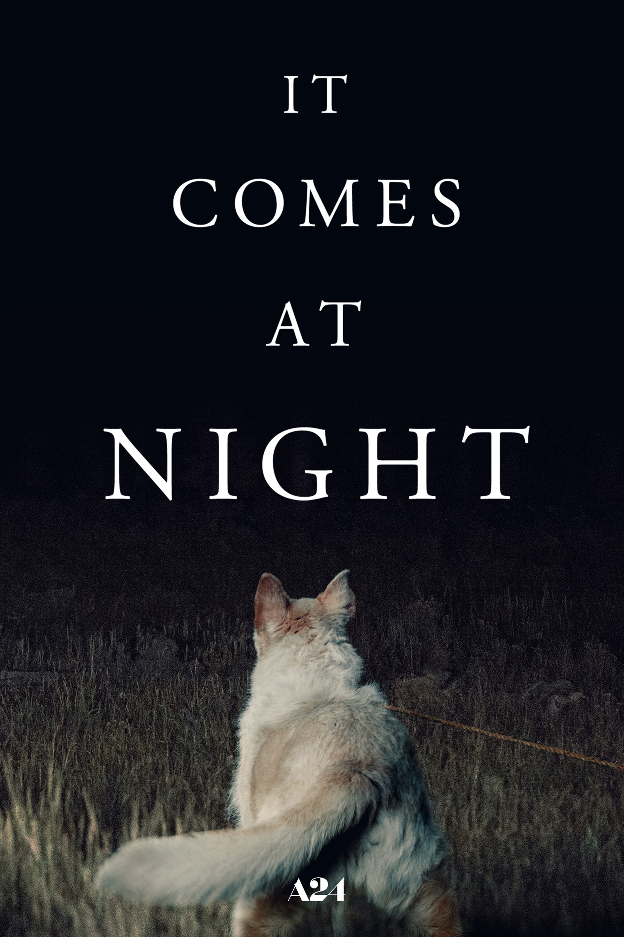 It Comes at Night